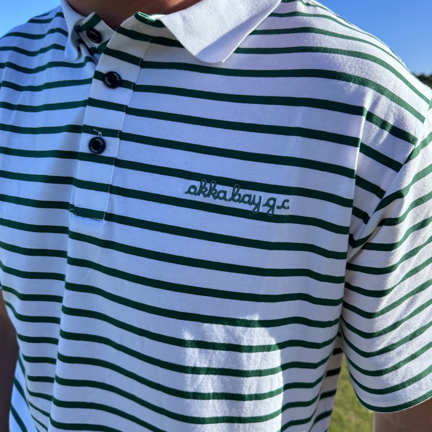 striped green cotton polo